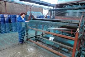Galvanized+PVC Coated 50x50mm Mesh Size 10m-100m Roll Length Welded Wire Fence and Euro Wire Mesh Fence