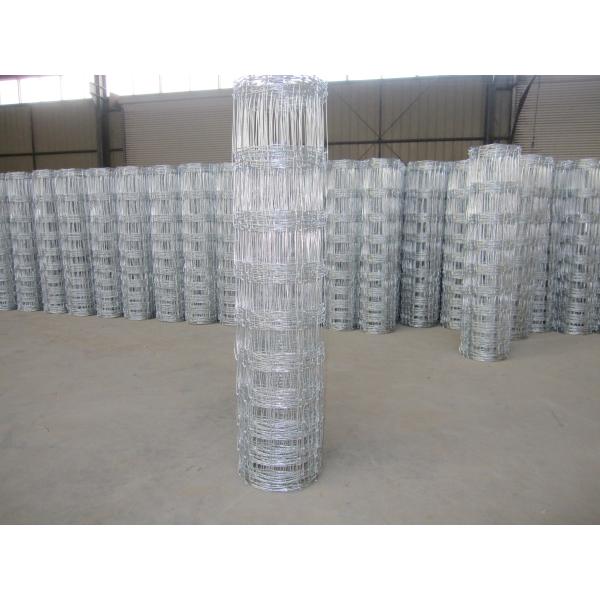 Stainless Steel Galvanized Cattle Panels / Goat Wire Panels Alkali Resistance