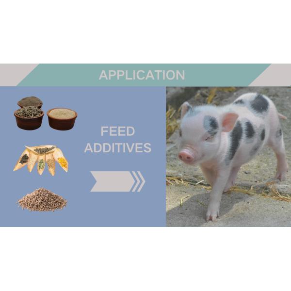 Feed Grade DL Methionine 99% Powder Antibiotic Antibacterial Agents for Poultry Feed
