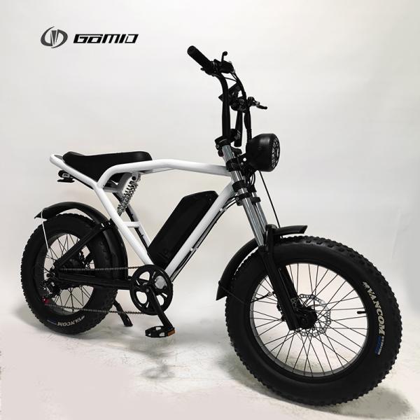 48V 500W City Bike Long Range Retro E-Bike with Powerful Lithium Battery and Disc Brake