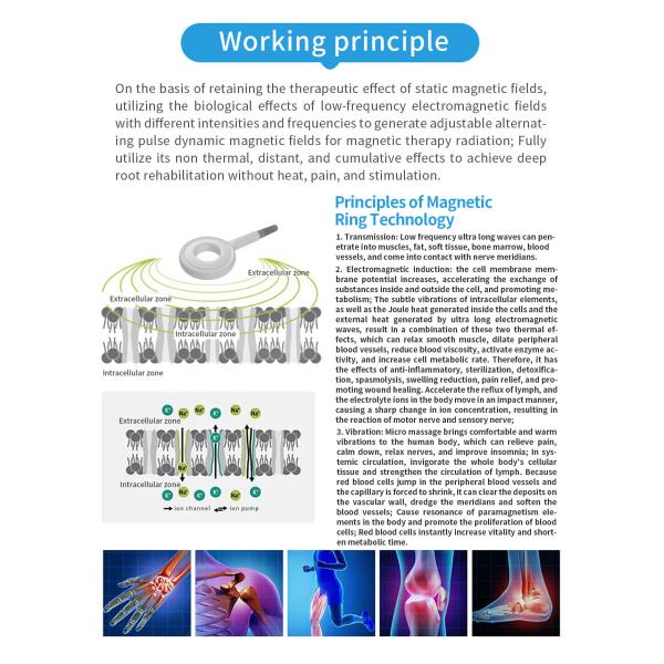 Electromagnetic Pain Relief Emtt Machine Magnetic Ring Energy Pulse Therapy Pain Physiotherapy