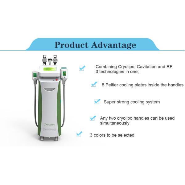 CE / FDA approved 2 cryo handles 10.4 inch touch screen kryolipolyse device fat freezing liposuction machines