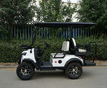 Lake Horse Electric Golf Cart with Buggy Car Tour Tire Front Disc Rear Drum Brake System