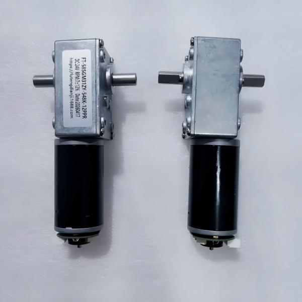  FT-58SGM31ZY-548K 12V 7±12% Rpm Double Shaft Worm Gear Motors for Wireless Robotic Lawn Mower