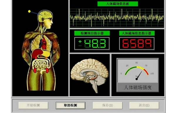 34 Reports Quantum Sub Health Analyzer , Bioelectric Body Analyser