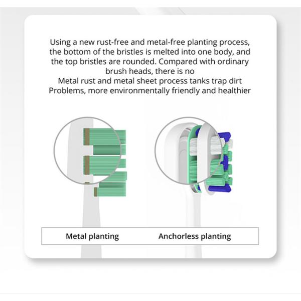 U391 Antibacterial Dupont Electric Sonic Toothbrush Wireless Charging Copper Free Bristle
