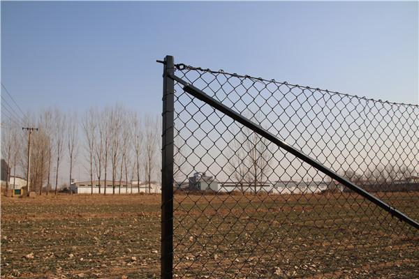 2.1mx10mx50x50mm galvanized steel chain link fence from  . Victoria 