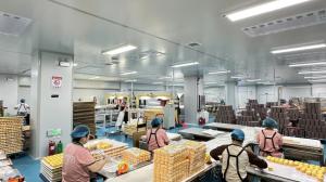 Henan Betterly  Sanitary Materials Co., Ltd.