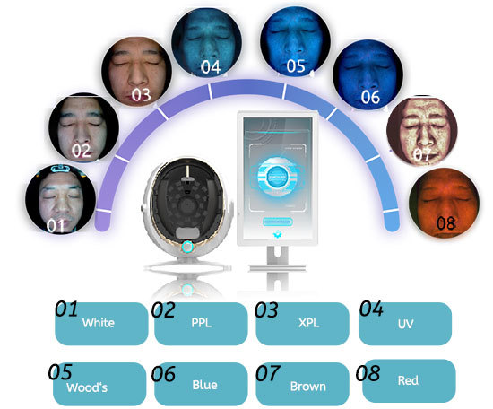 All In One AI Skin Scalp Analysis System Facial Imaging Diagnosis Plus Model