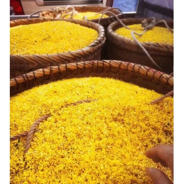 Organic Natural Osmanthus Tea Gui Hua Cha Dried Osmanthus Flower for Hot Water Brewing