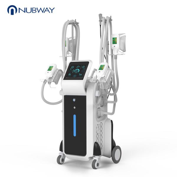 OEM/ODM Newest cryolipolysis 4 handles beauty machines cool shape fat freezing lipo cellulite