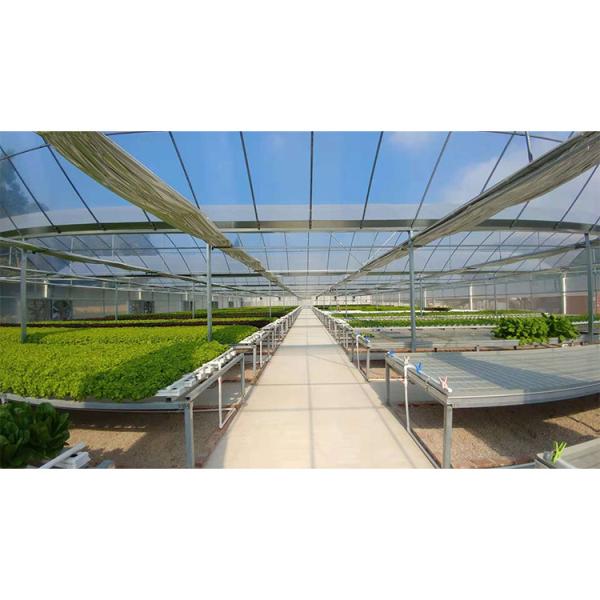 Solar Gray Polycarbonate Sheet Greenhouse For Aquaponics Farming System