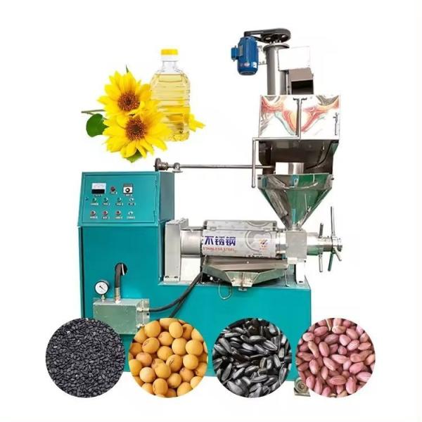 1600*1300*1750 mm Cold Pressed Oil and Diesel Screw Pressing Machine for Home Manual