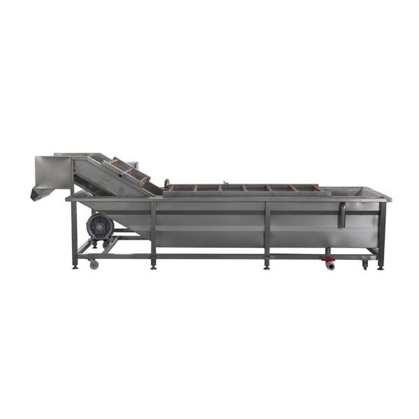 Customizable Capacity Bubble Washer for Industrial Fruit and Vegetable Processing
