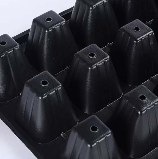 21 Hole Black Microgreen Growing Trays PET Plastic For Planting Vegetable