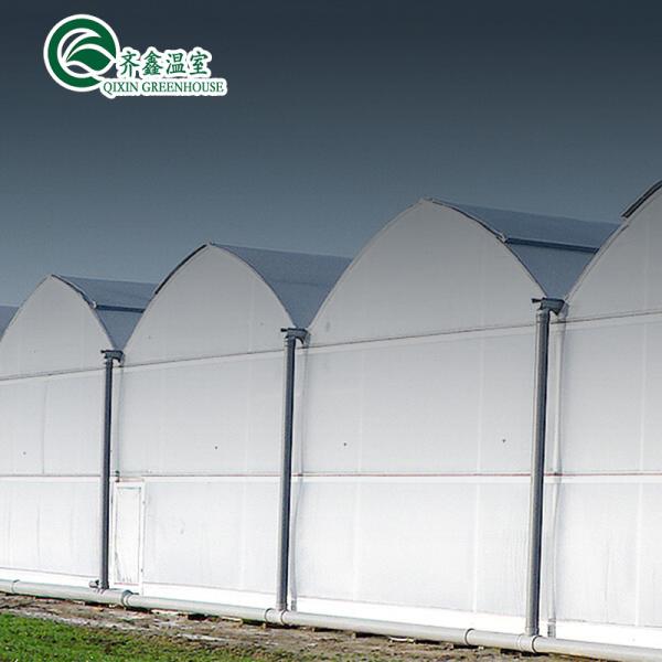 Automatic Controlling Box Aquaponics Film Greenhouse for Animals Growing Tent Customizable Size