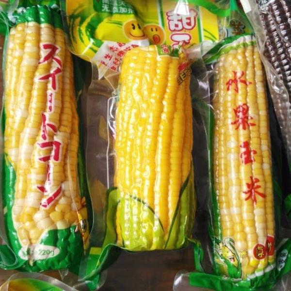 Double Chamber Vacuum Packaging Machine Moon Cake Flat Panel Double Chamber