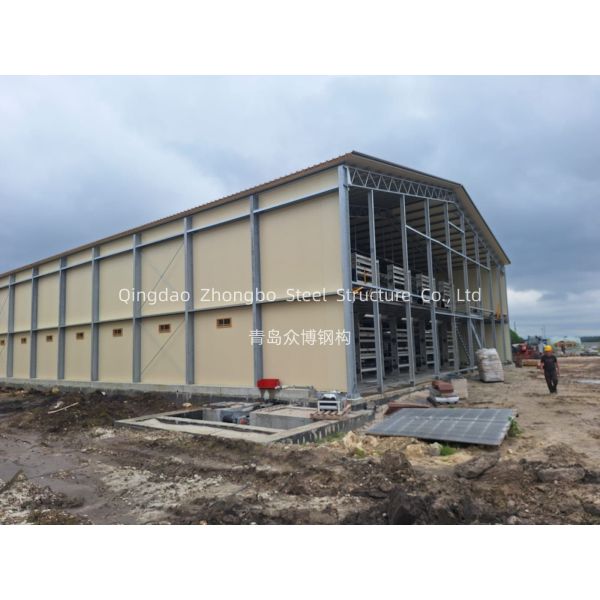Q235/Q355 Steel Prefab Steel Structure Poultry House with 50 Years Usage Life