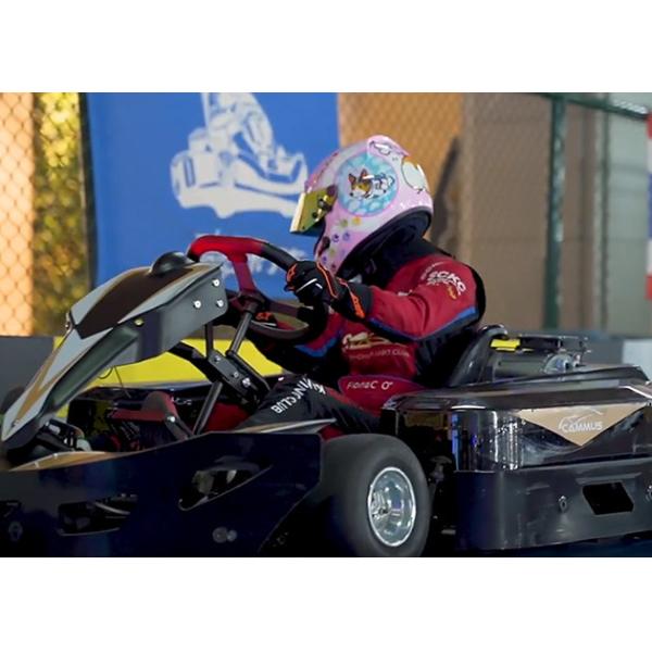 Управляемая батарея CE 540W/H идет моторизованное Kart 1.27Nm идет Kart