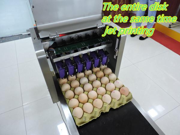 Poultry Egg Date Coding Machine Automatically Updated With LCD Touching Screen