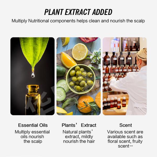 Private Label Wholesale Handmade Natural Organic Vegan Tea Tree Hair Darkening Eco Friendly Solid Conditioning Shampoo