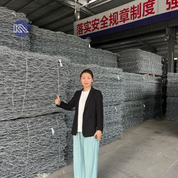Hot-Dip Galvanized Gabion Basket Box Retaining Wall Hydraulic Sluice Gate Stone Armor Coastal Bank Stabilization