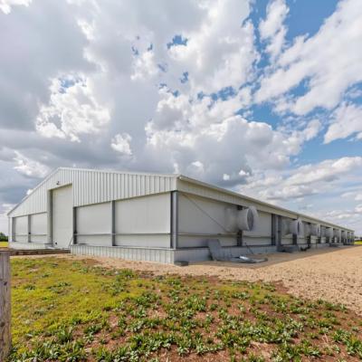 Custom Prefab Steel Poultry Shed Q235B Q355 Galvanized