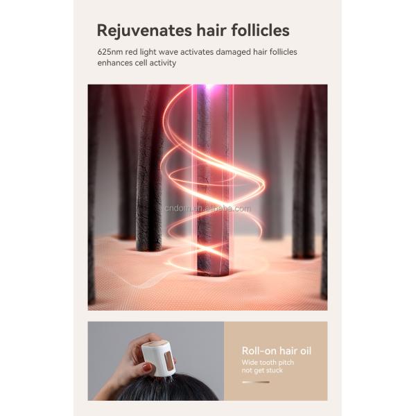 Type-C USB Charging Plastic Handle Electric RF Hair Growth Comb with Red Blue Light Therapy