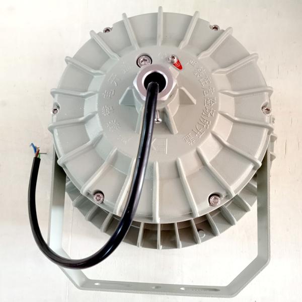 Бензоколонка залива приведенная освещением 100W 50W зоны 1 ATEX взрывозащищенным высоким водоустойчивая