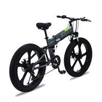 Moteur à grande vitesse cadre mou de queue de vélo électrique de 28 M/H