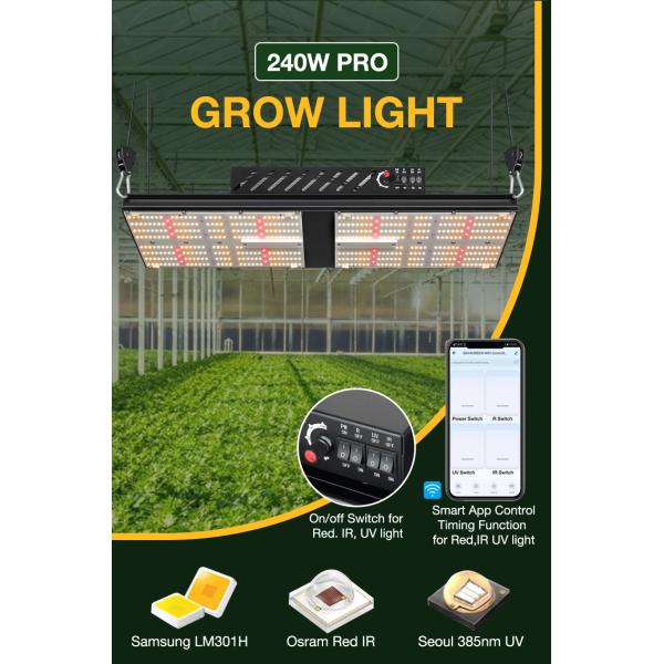 СИД THC CBD 624Umol/s Hydroponic растет светлая доска 240w Кванта