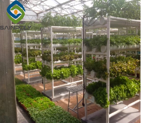 Large Size Vertical Hydroponic Greenhouse Stable Structure Easily Assembled