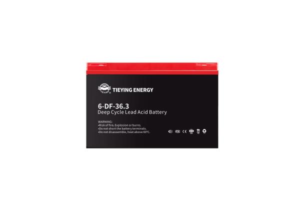 36.3Ah 12v batterie au plomb-acide OEM 6-DF-36.3 POUR E-Motorcycle 450 fois