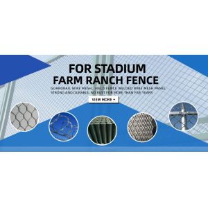 Hebei Guixiang International Trade Co., Ltd.