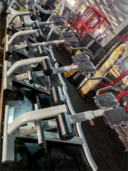 Freeman Commercial Gym Fitness Equipment Back Extension(hyper Extension Bench)/roman Chair