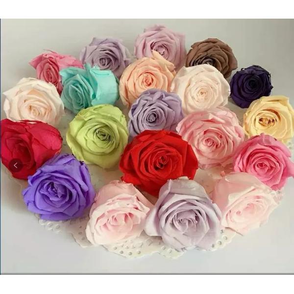 preserved flower eternal rose preserved flower rose natural preserved rose