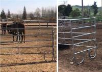 Tubulação redonda o mergulho quente soldado galvanizou a cerca Panels do cavalo 2.5x2m