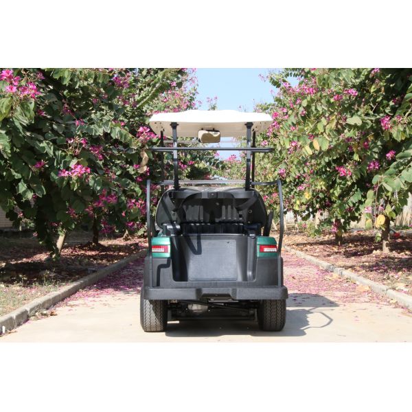 2-Seat Electric Golf Buggy with 30% Climbing Ability 48V Lithium Battery Range For 50-70 km