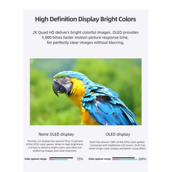 55 inch High Transparency Full Color LG Transparent TV OLED Display for Retail Store & Airport Advertising