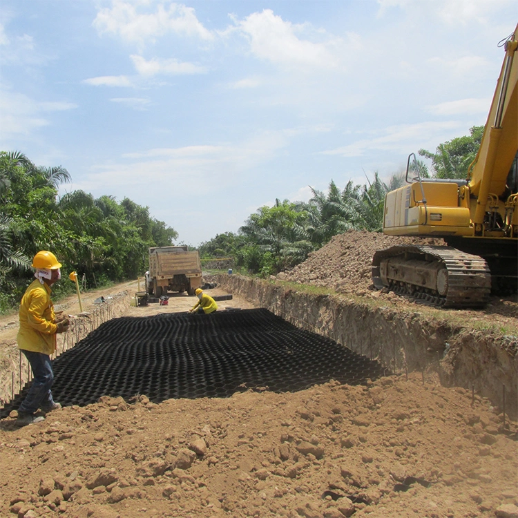 Устойчивая к коррозии пластмассовая геоэлементная сетка из HDPE, используемая в дорожном строительстве