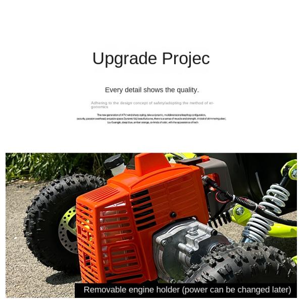 GO-Karts Adult off-road kart, fuel kart，Kincardine car support OEM