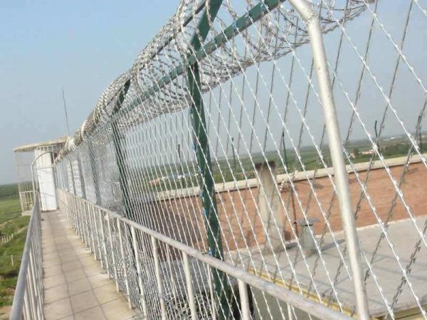 Hot Dip Galvanized PVC Coating Design Anti Climb Wire Fence for Commercial Buildings