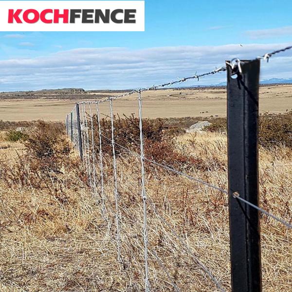 Heavy Duty Metal Fence Posts , 2.04kg/M Bitumen Painted Steel Galvanised Star Pickets