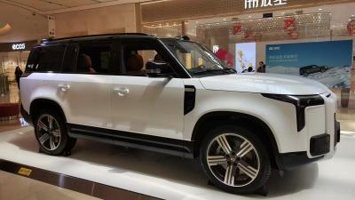 All New Polestones Luxury Edition 2024 Hybrid SUV Medium And Large Middle 7seats 2024 polestones new 2024 Hybrid SUV
