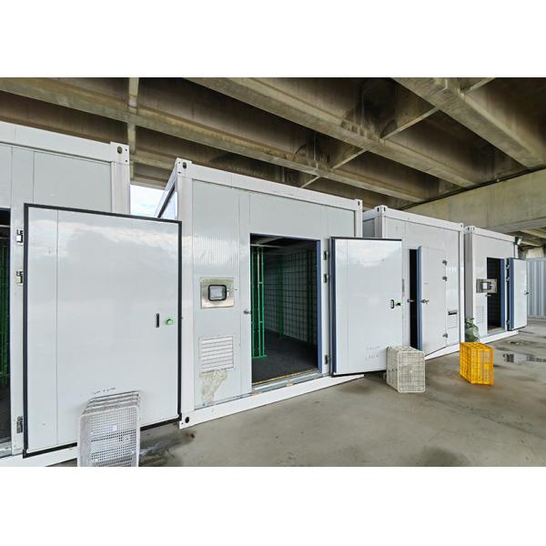 Portable Indoor Mushroom Greenhouse With Auto Temperature Humidity And Light Control