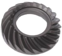 Module de transmission de vélo 11 avec 24 dents spirale LH roue forgée