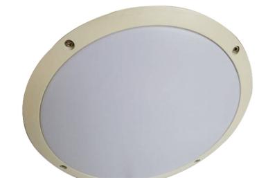 High Lumen Indoor LED Ceiling Mount Bathroom Light Fixture 80 lm / w 3000K/6000K/4000K