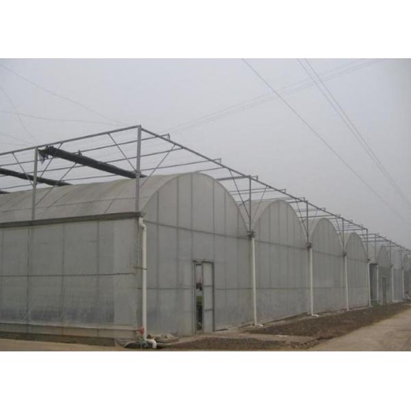 Complete Multi Span Plastic Film Greenhouse With Heating / Cooling System