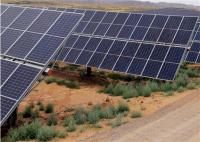 Mató la limpieza de uno mismo del perseguidor del panel solar de la impulsión 0.5kWh