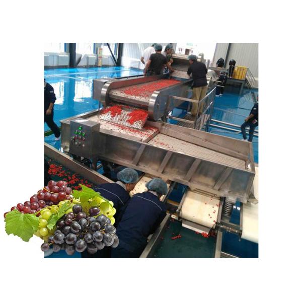 Concentrated Grape Juice Processing Line / Fruit Juice Processing Equipment